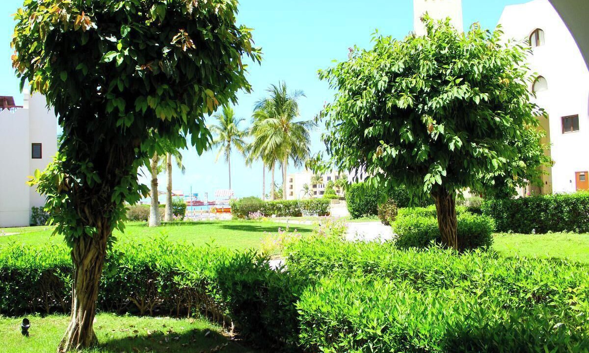 Photo of Outdoor in Salalah