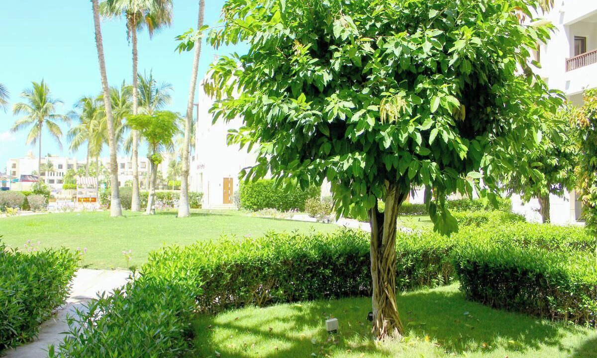 Photo of Outdoor in Salalah