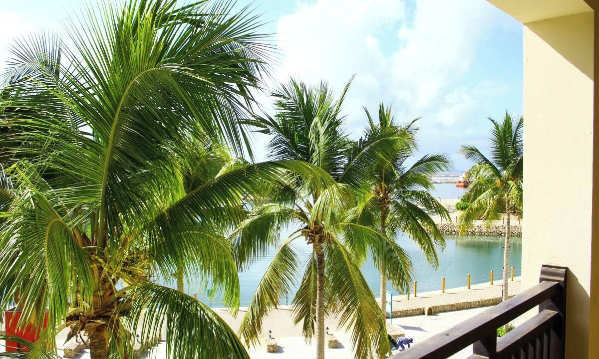 Photo of Outdoor in Salalah