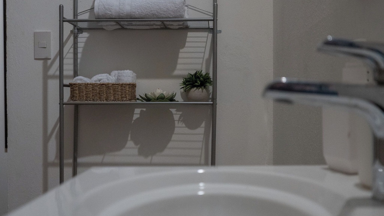 Photo of Bathroom in Paquera