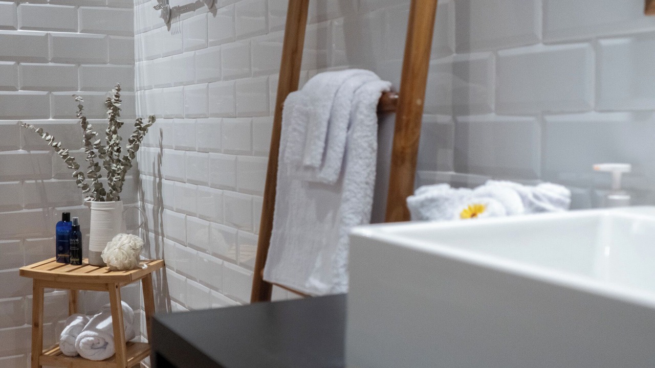 Photo of Bathroom in Paquera