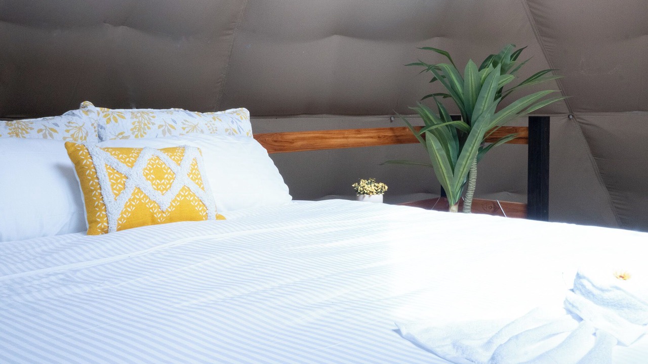 Photo of Bedroom in Paquera
