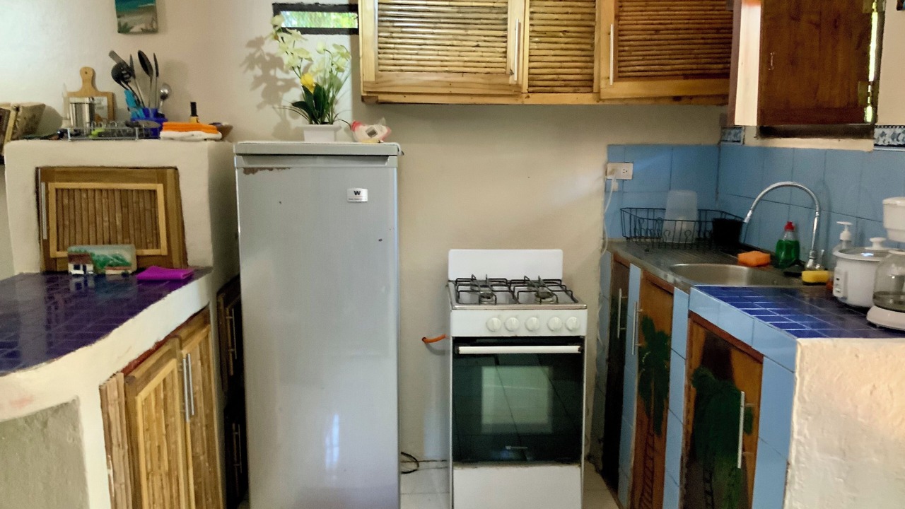 Photo of Kitchen in Avellanas Beach