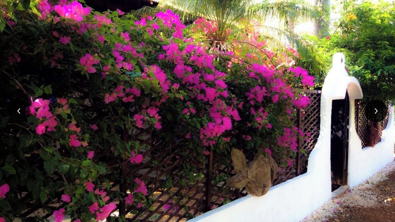 Photo of Outdoor in Avellanas Beach