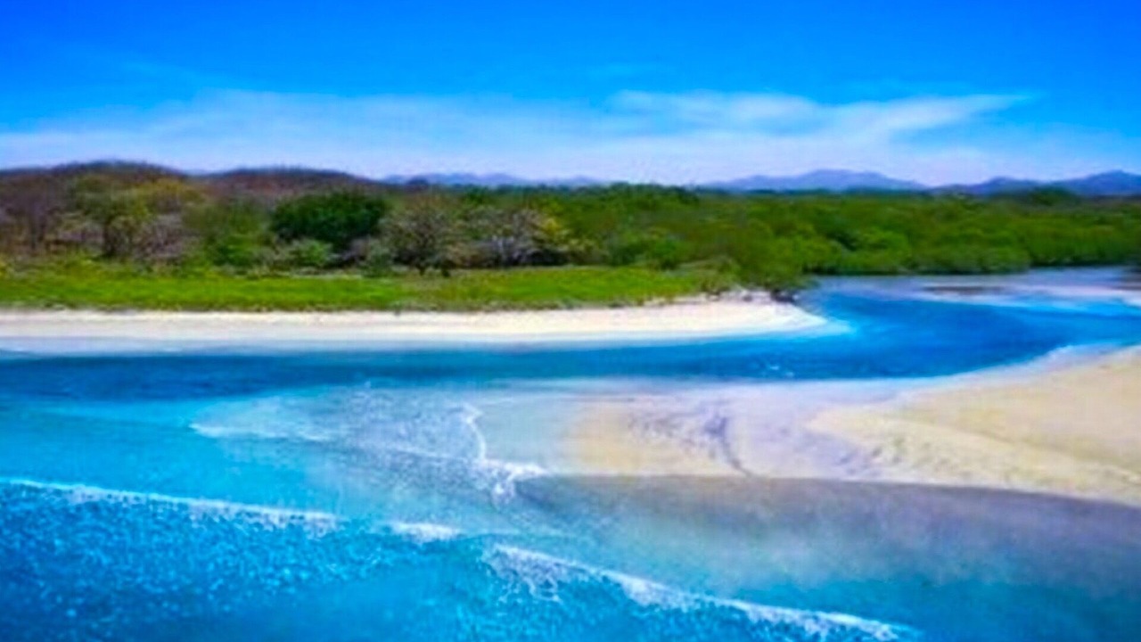 Photo of Others in Avellanas Beach