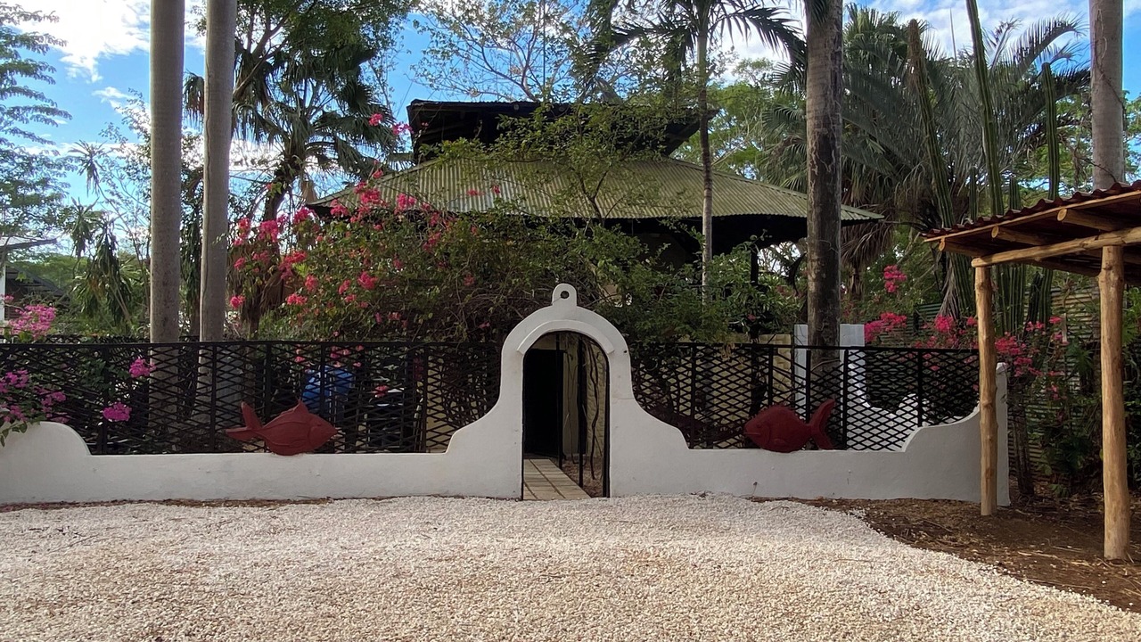 Photo of Outdoor in Avellanas Beach
