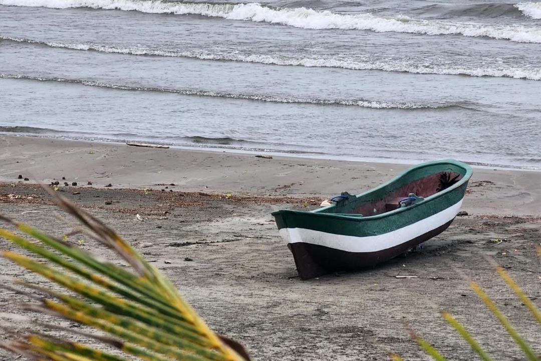 Photo of Others in Santa Cruz