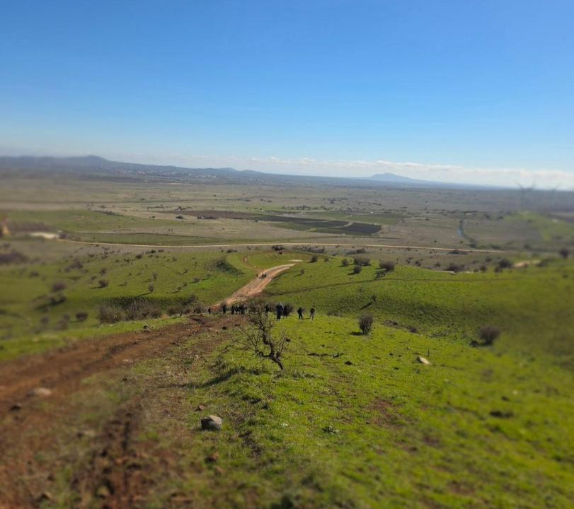 Photo of Others in Bruchim Qela' Alon