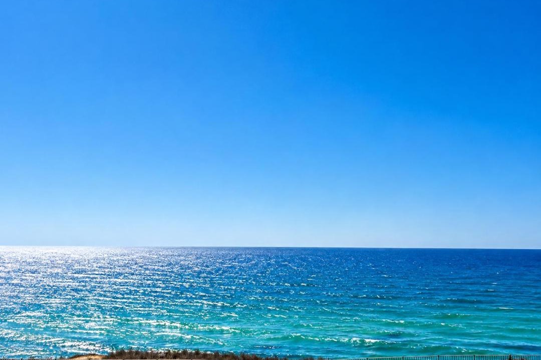 Photo of Others in Netanya