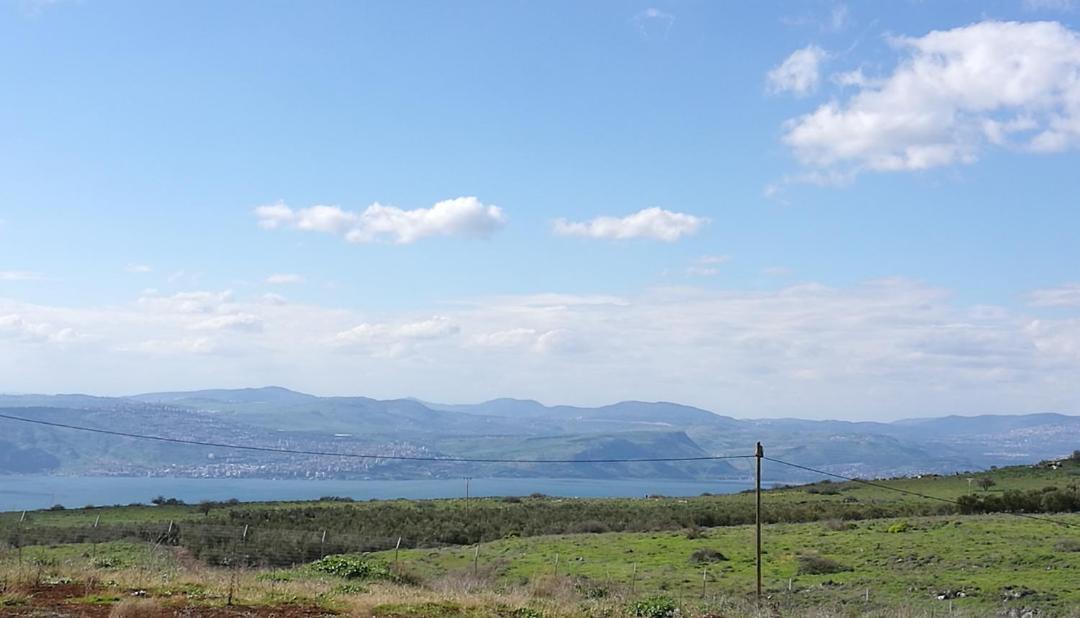 Photo of Others in Ne'ot Golan