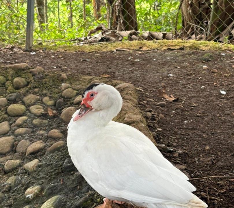 Photo of Others in Pocosol