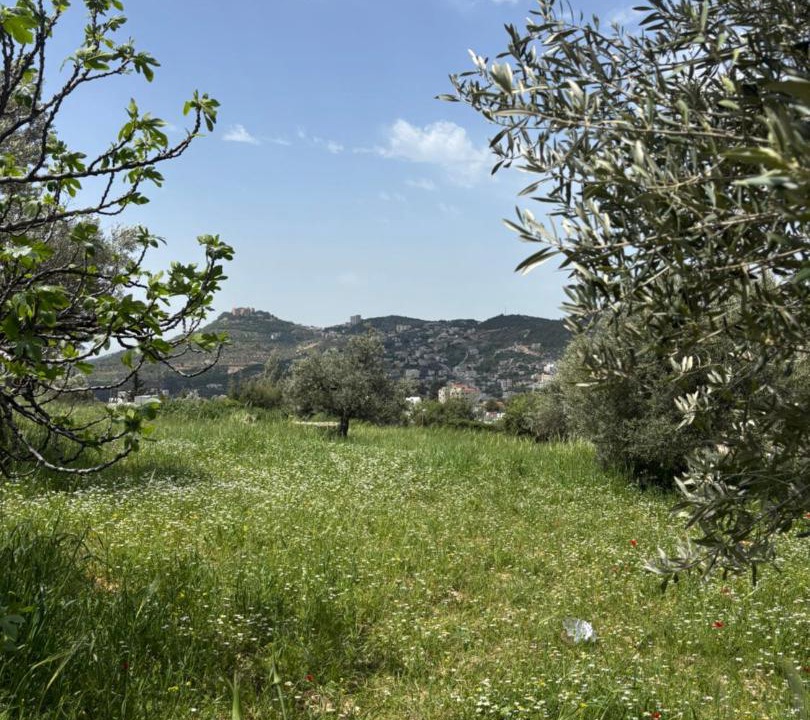 Photo of Others in Ajloun