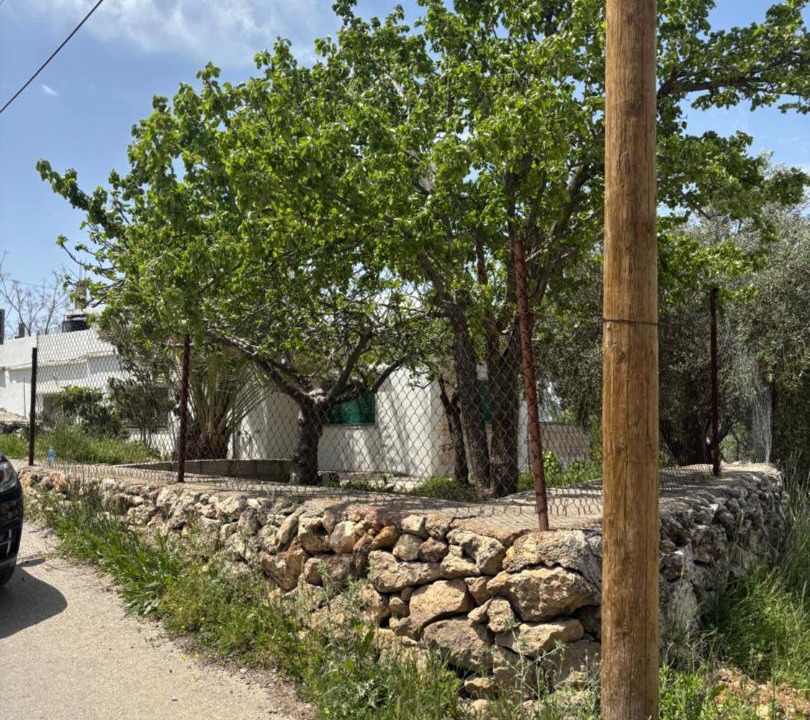 Photo of Others in Ajloun