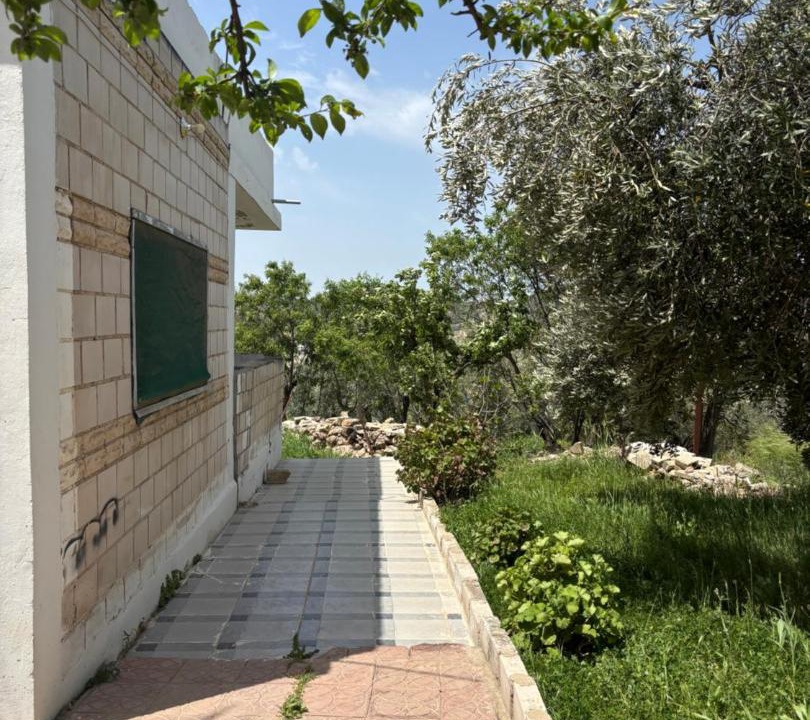 Photo of Others in Ajloun
