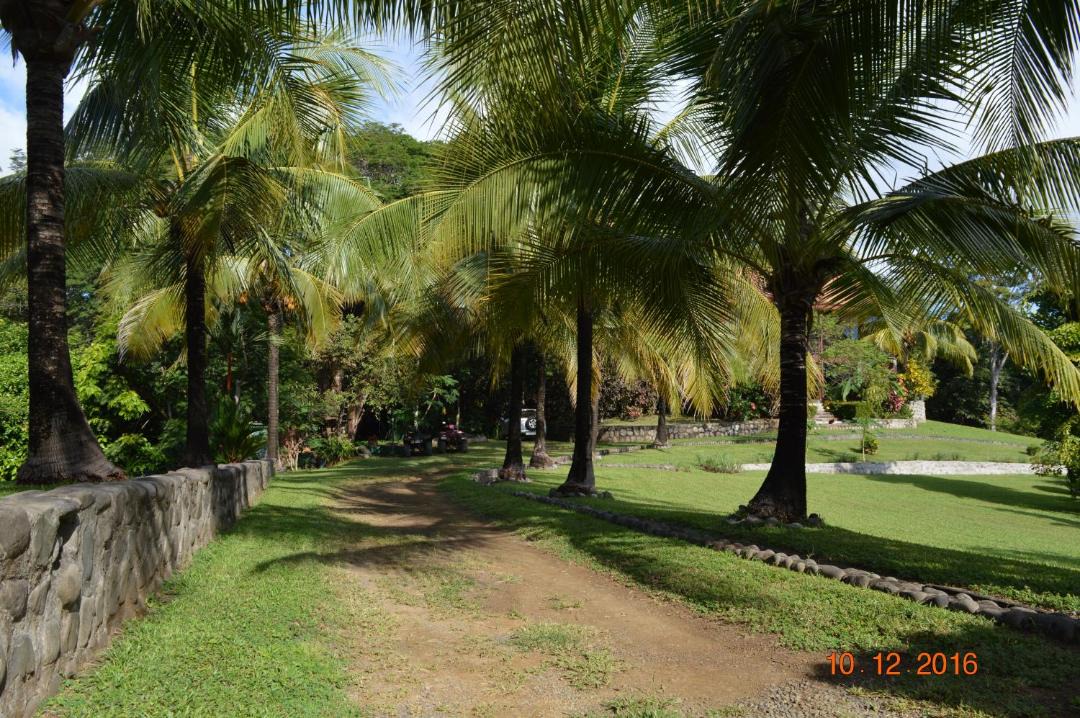 Photo of Others in Montezuma