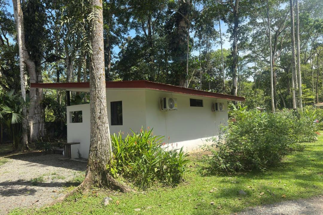 Photo of Others in Cahuita