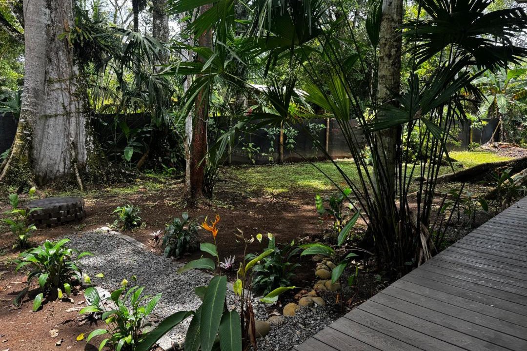 Photo of Others in Cahuita
