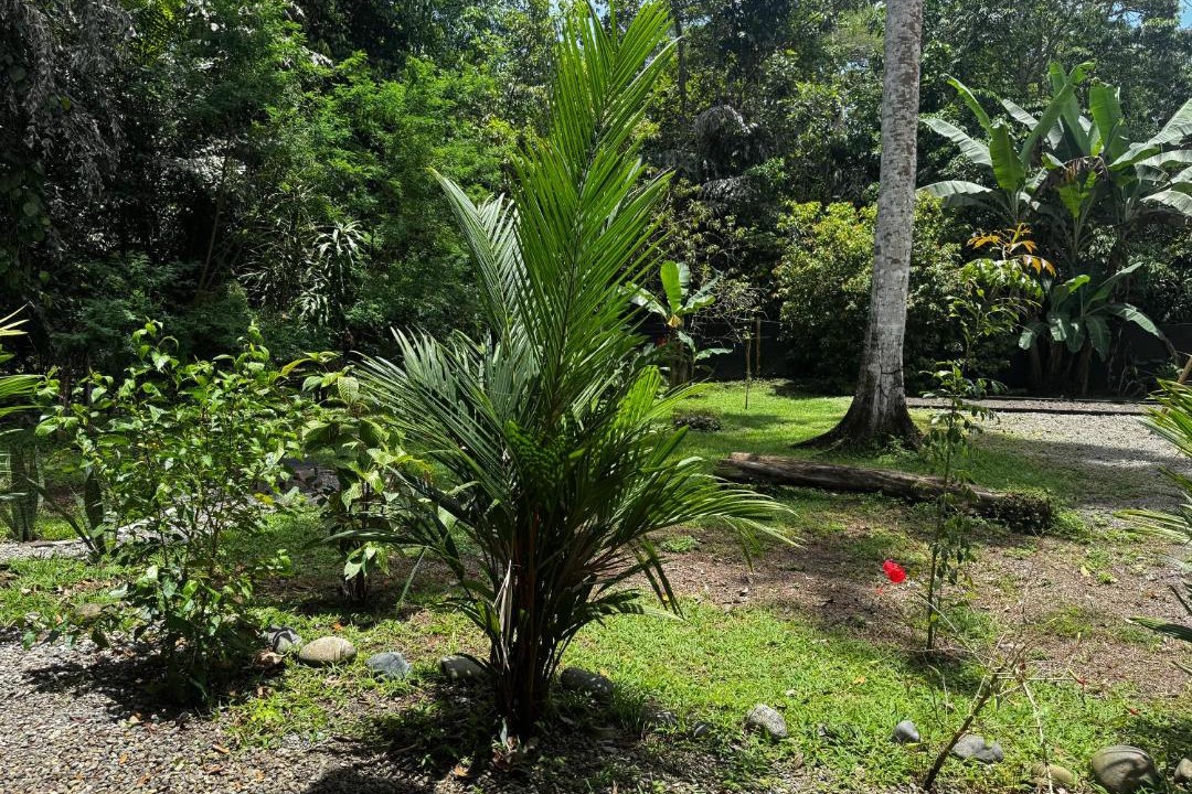Photo of Others in Cahuita