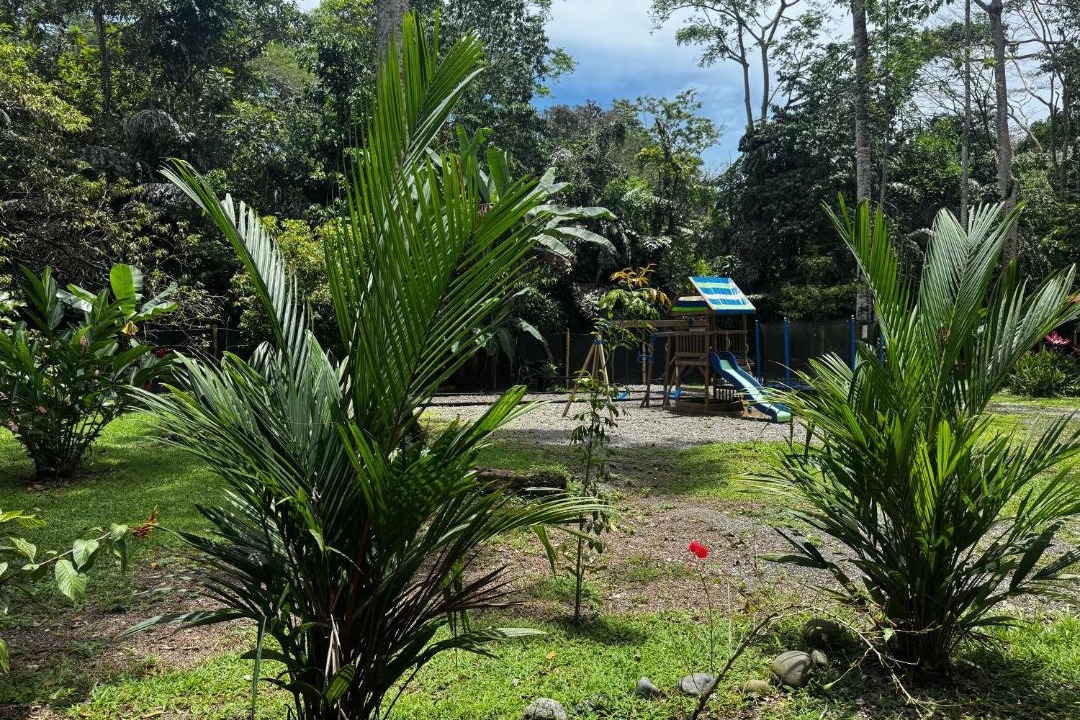 Photo of Others in Cahuita