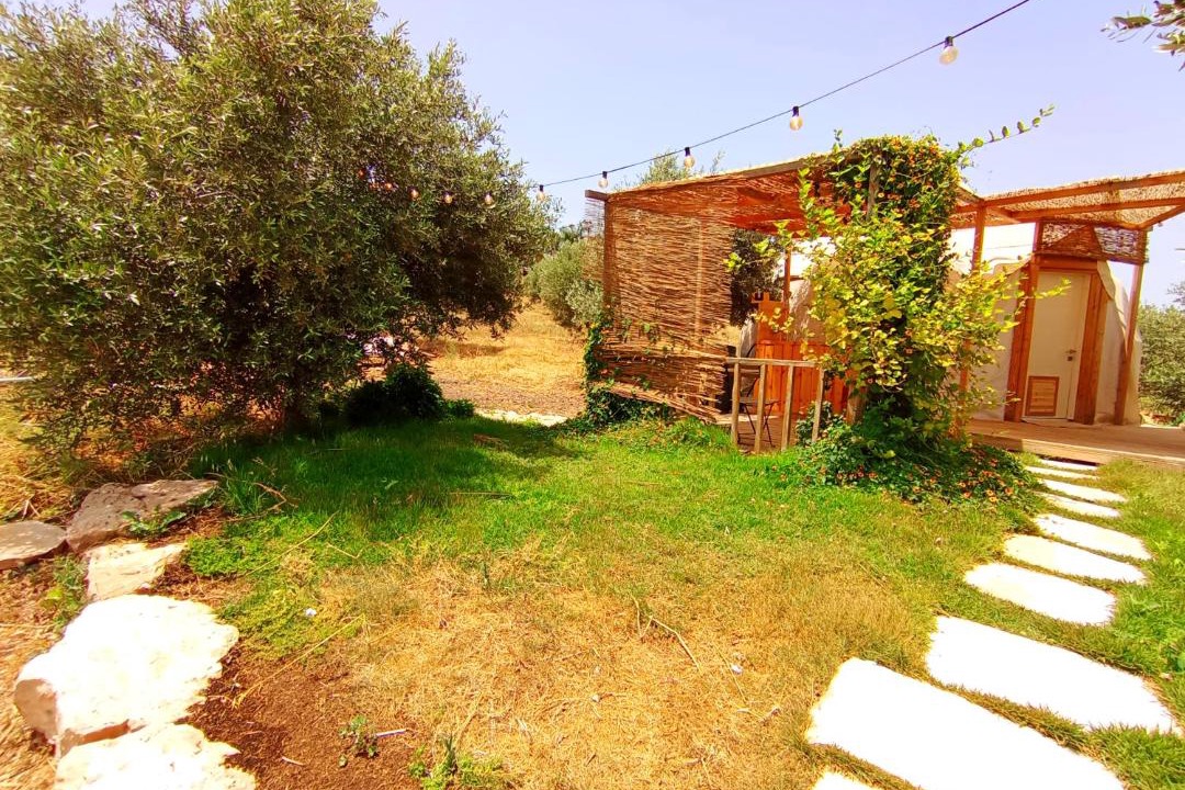 Photo of Others in Yavne'el