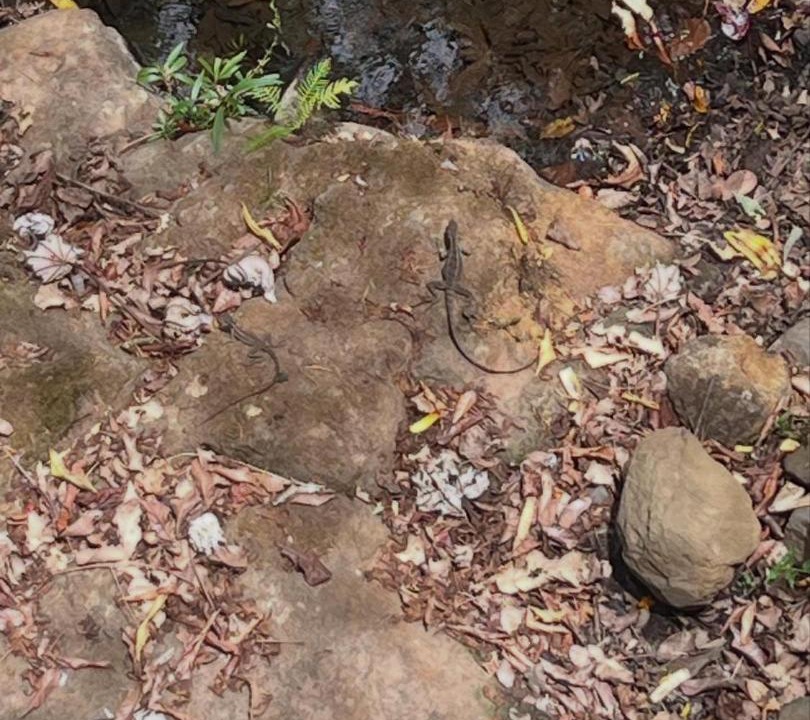 Photo of Others in Garabito