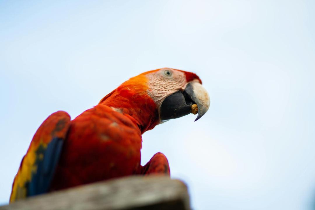 Photo of Others in Parrita