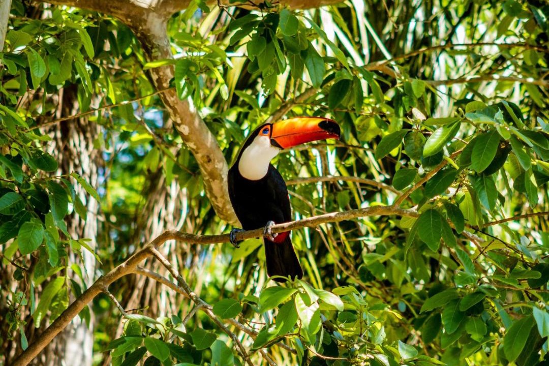 Photo of Others in Parrita