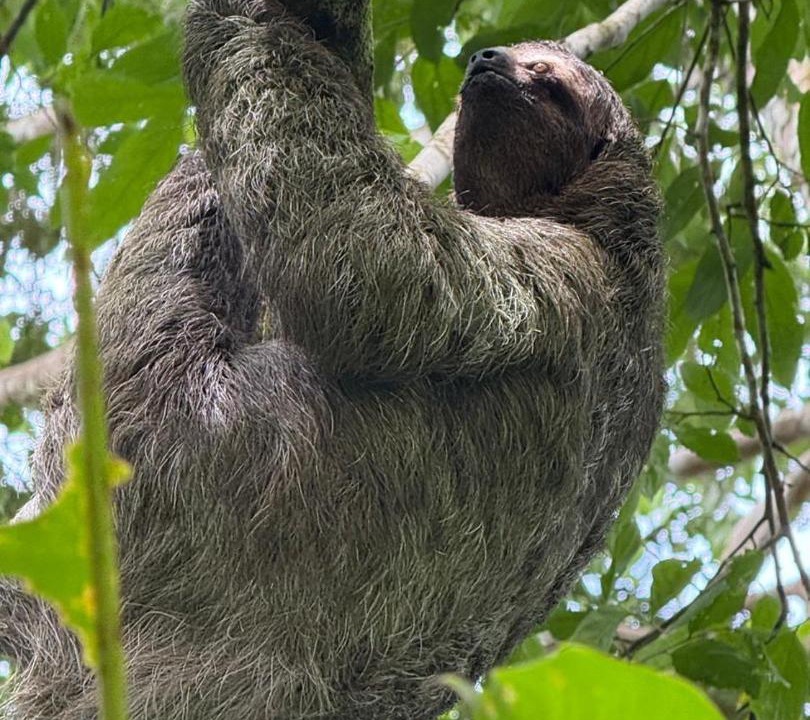 Photo of Others in Parrita