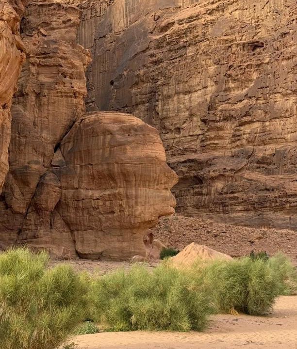 Photo of Others in Wadi Rum