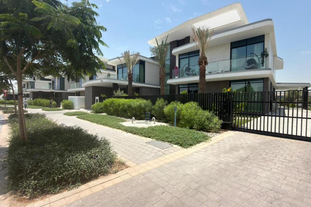 Photo of Others in Dubai