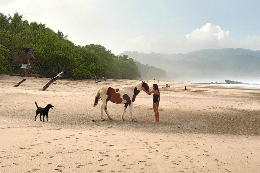 Photo of Others in Mal Pais
