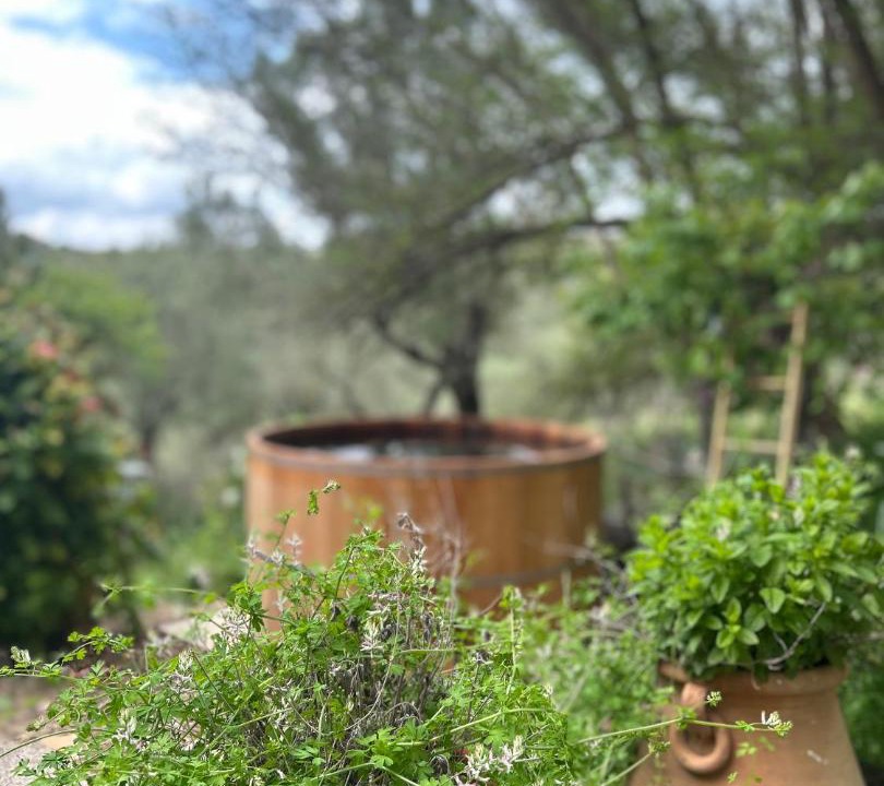 Photo of Others in Kfar Hoshen