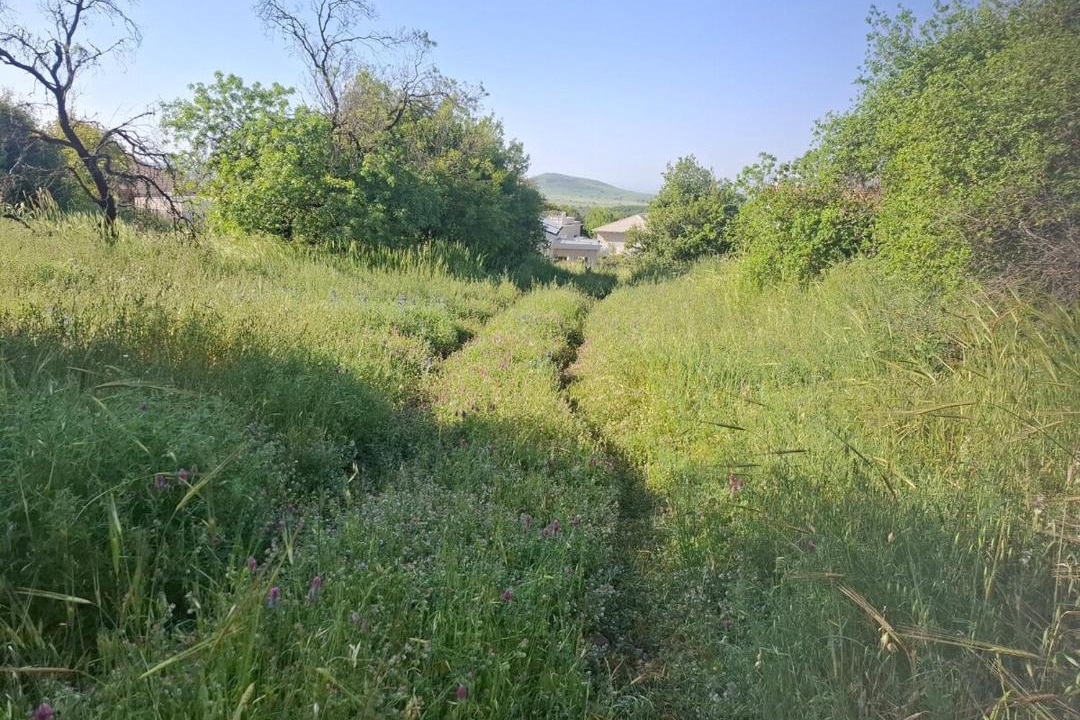 Photo of Others in Ein Zivan