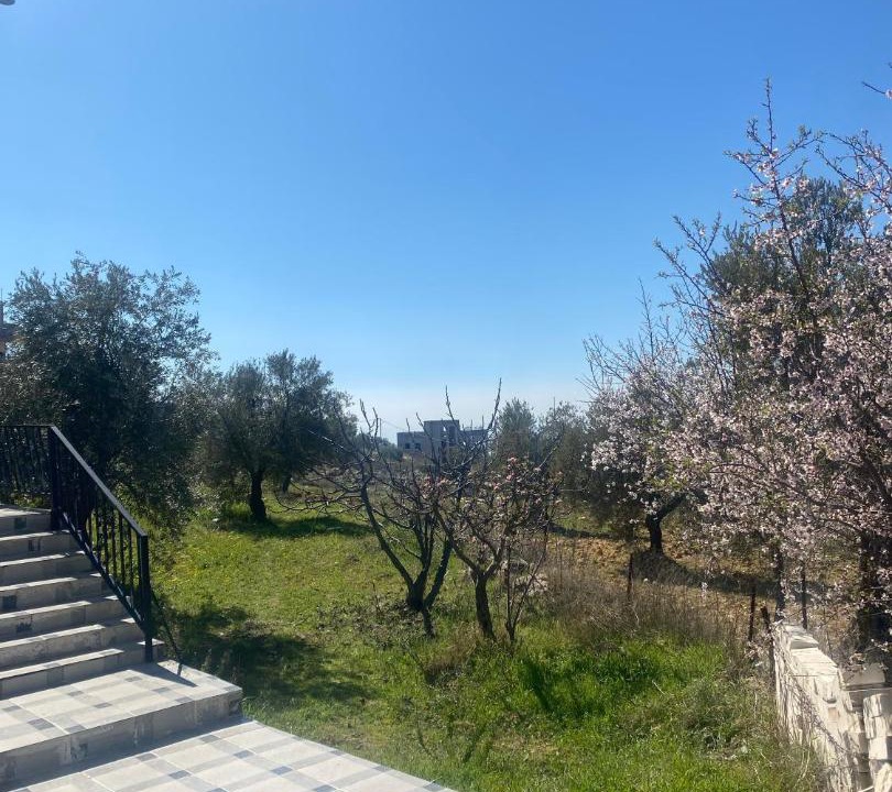 Photo of Others in Ajloun