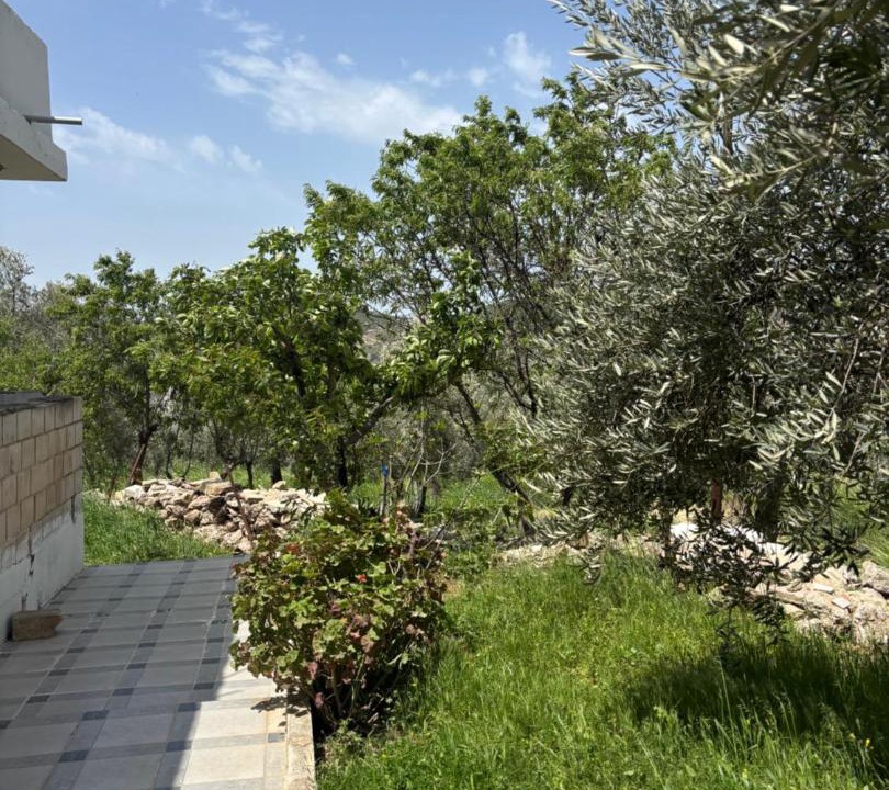 Photo of Others in Ajloun
