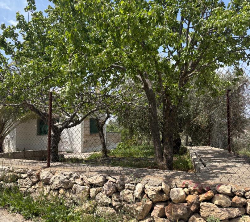 Photo of Others in Ajloun
