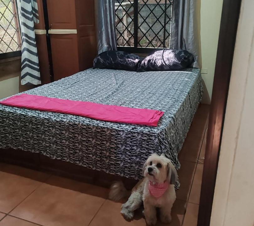Photo of Bedroom in Artola