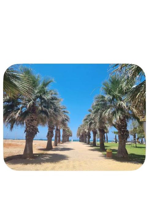 Photo of Others in Ashdod