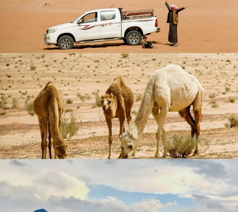 Photo of Others in Wadi Rum
