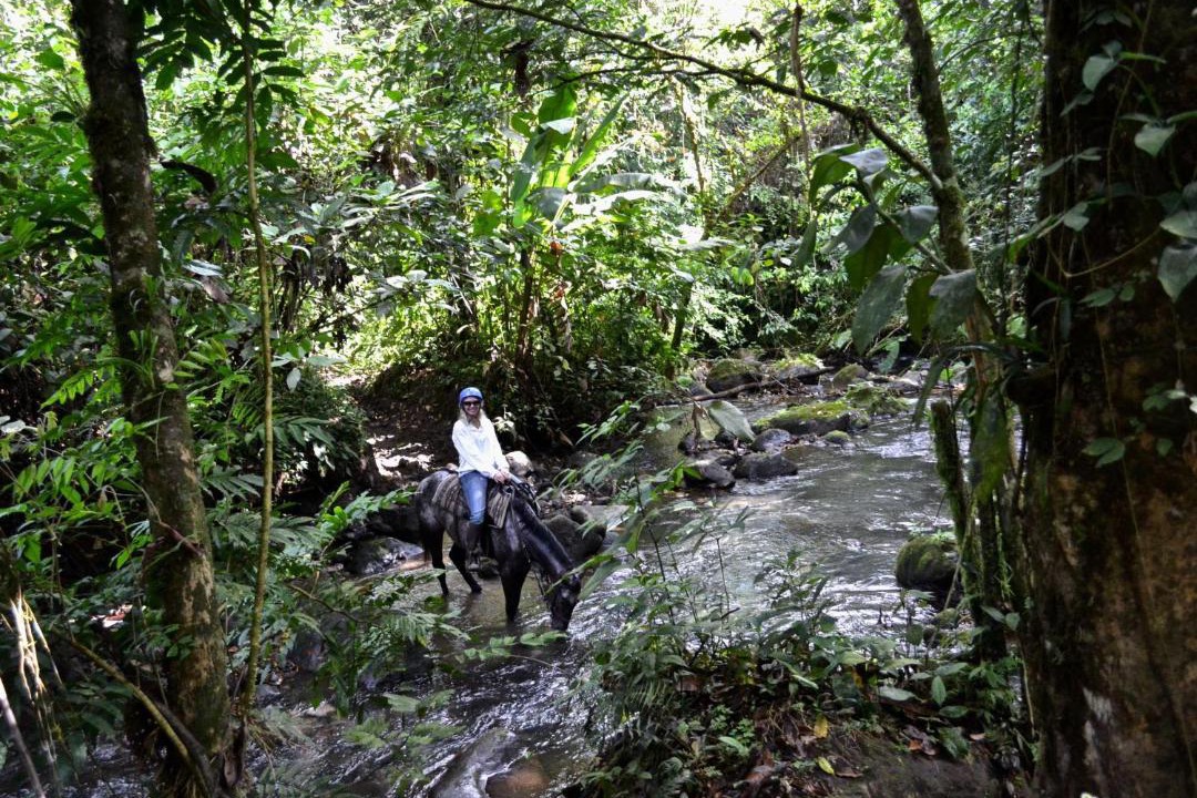 Photo of Others in Arenal Hot Springs