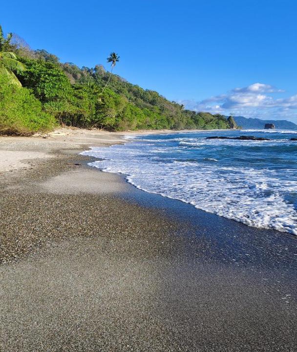 Photo of Others in Manzanillo