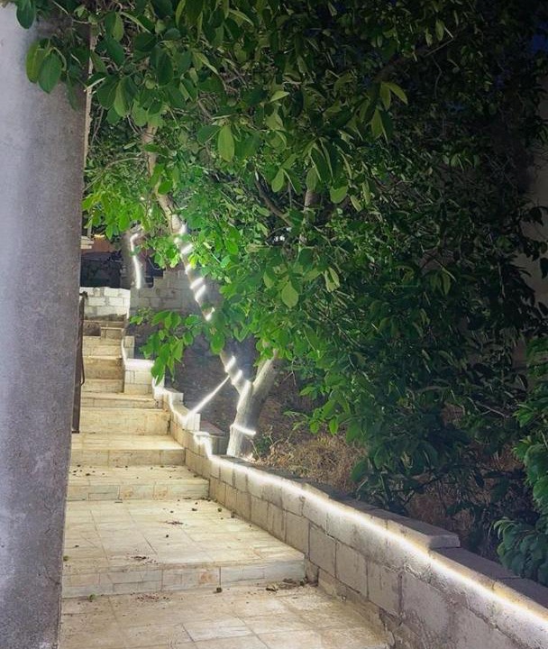 Photo of Others in Ajloun