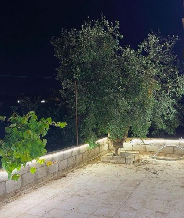 Photo of Others in Ajloun