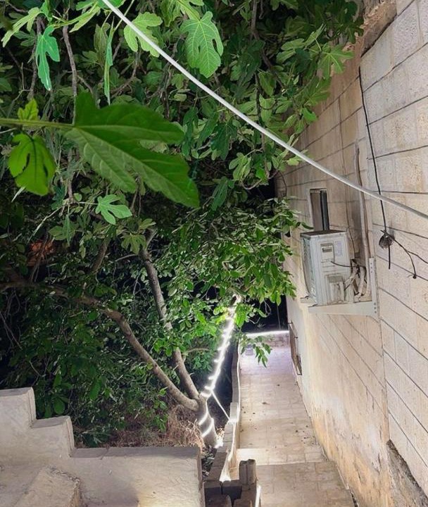 Photo of Others in Ajloun