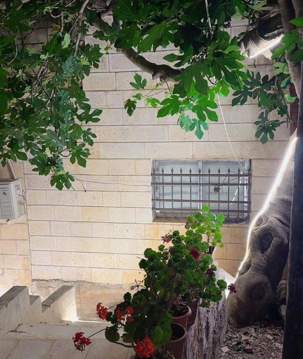 Photo of Others in Ajloun