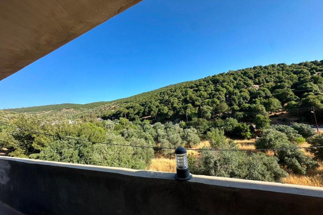 Photo of Others in Ajloun