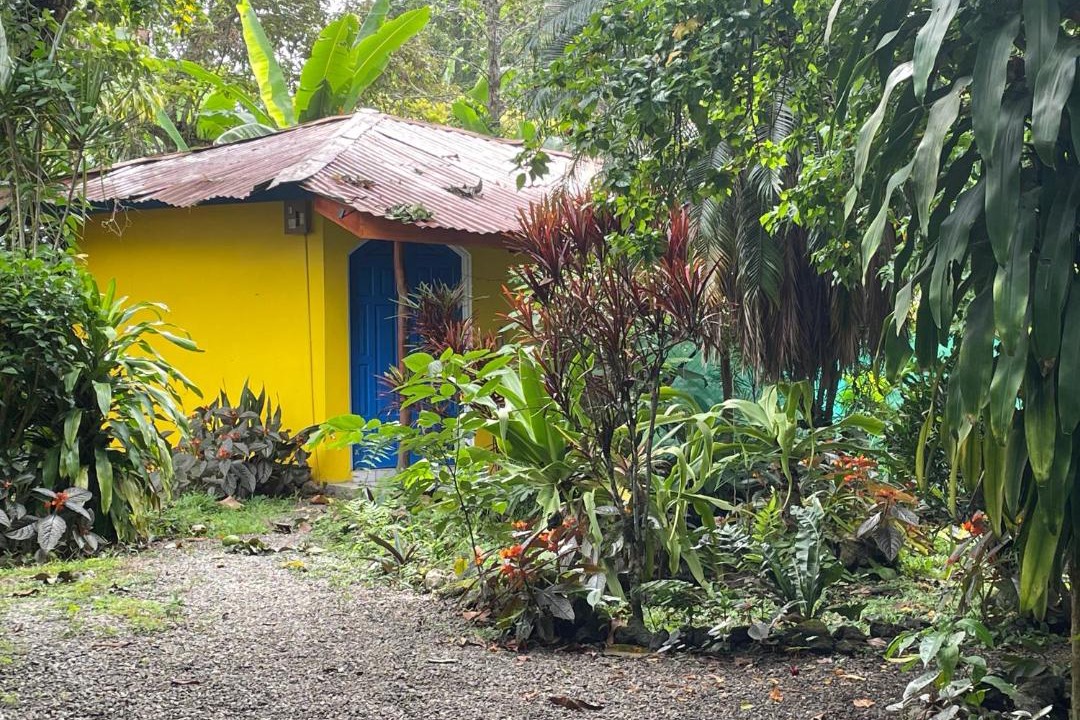 Photo of Others in Cahuita
