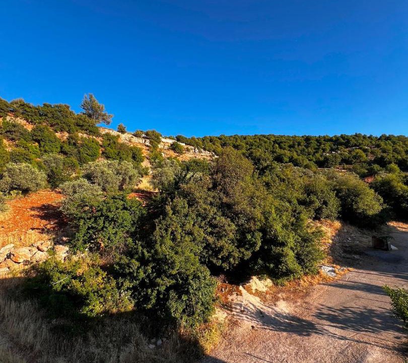 Photo of Others in Ajloun