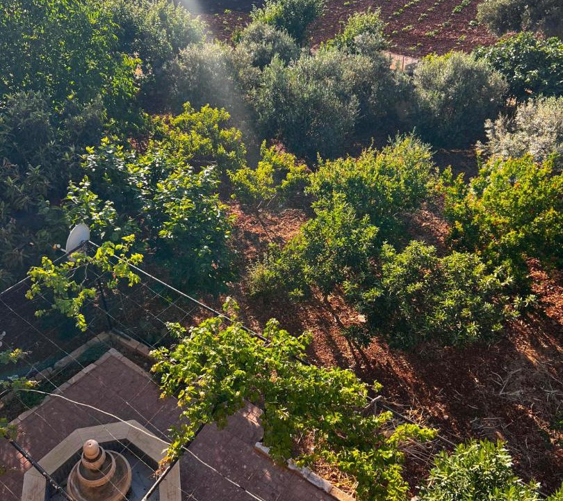 Photo of Others in Ajloun