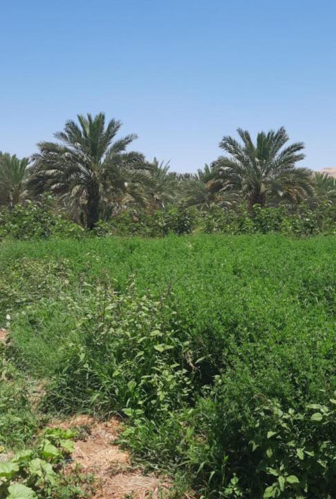 Photo of Others in Al-Maghtas